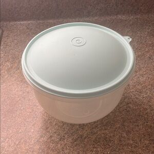 Translucent White Kitchen Storage Bowl